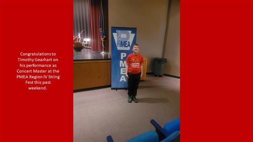 MS PIC